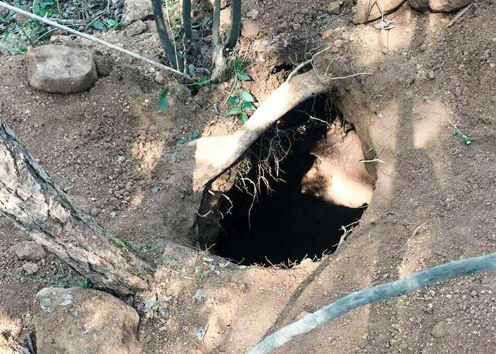 其中一个古墓留有明显的盗洞。