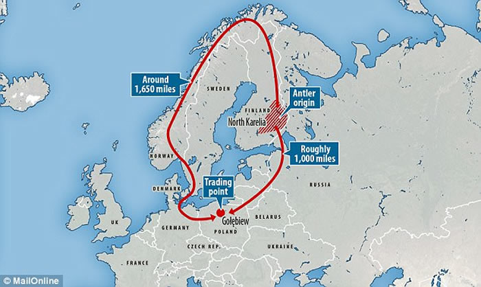 波兰出土的中石器时代鹿角杖揭示远古欧洲存在跨区人际交往