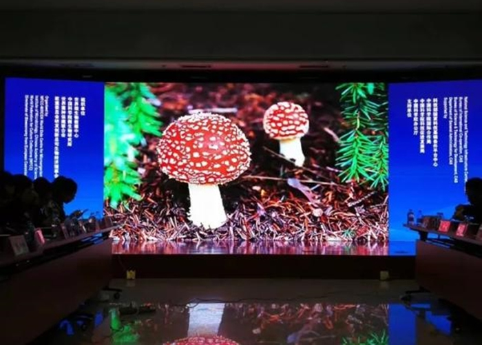 ר���ڻ����Ϸ����й��о��ɹ���