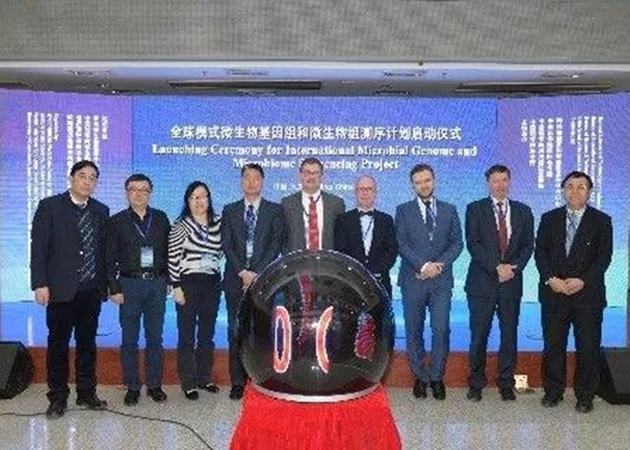 ������ʽ�ڱ������С�