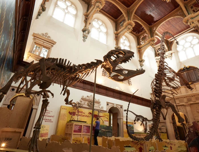 中国龙英伦行——记2017英国诺丁汉中国恐龙特展