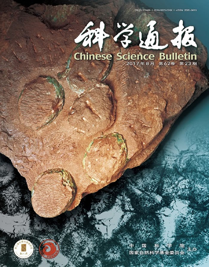 休宁伞形蛋作为封面图片刊出