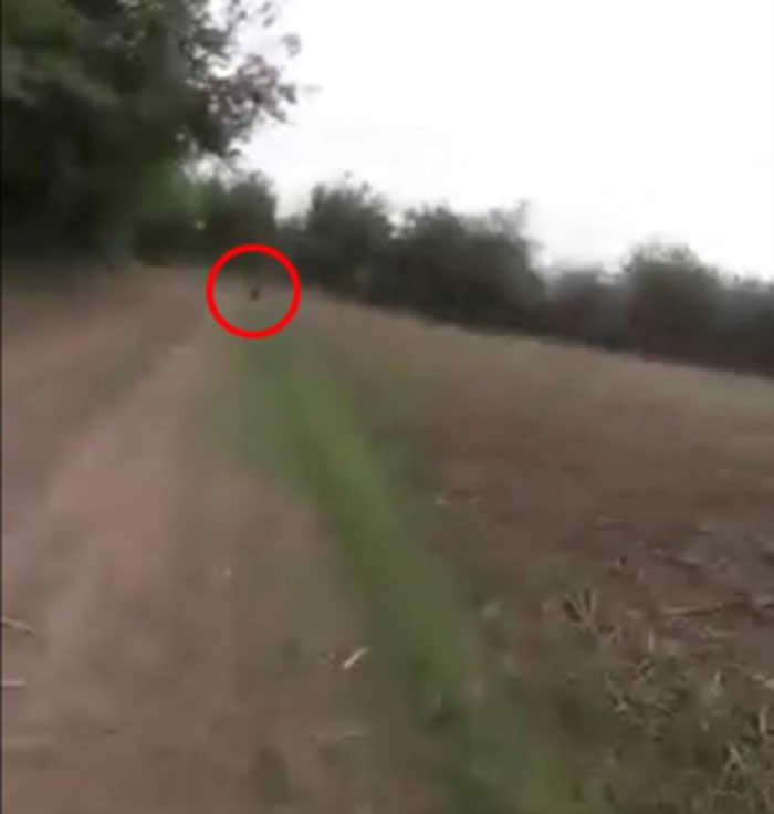 ͢СһȺСŮĵơ顱Ӱ