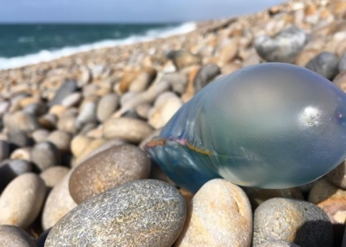 ɮñˮĸ������©�������������ơ�