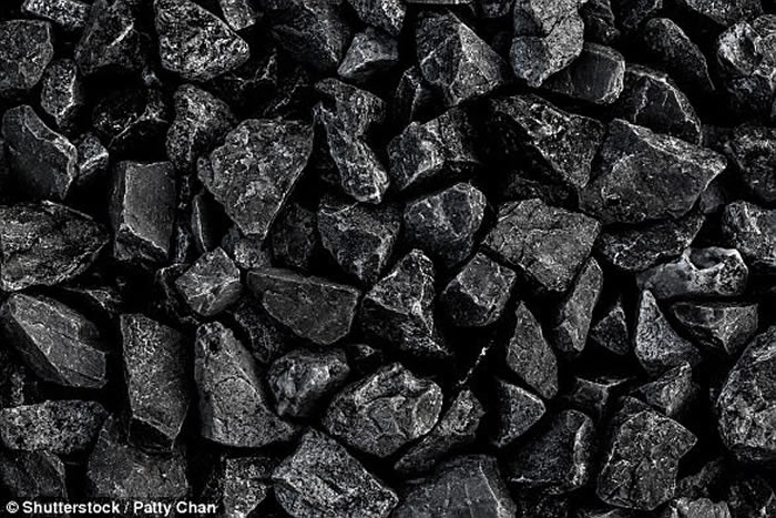 在这项新研究中,道蒂采集了美国多个地区的煤矿样品,通过测量煤炭中不同元素的含量比较白垩纪和石炭纪地球肥力的差异。