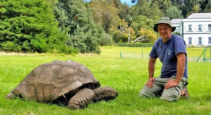 兽医(图右)多年来一无所觉。