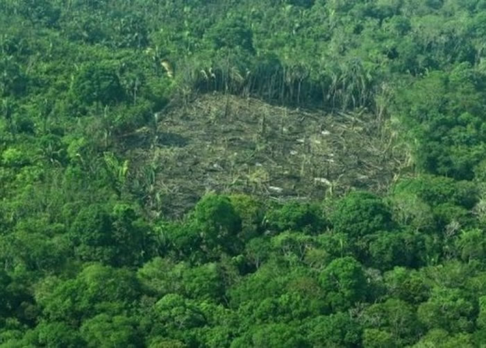 政府在不同州份的监管成效参差。