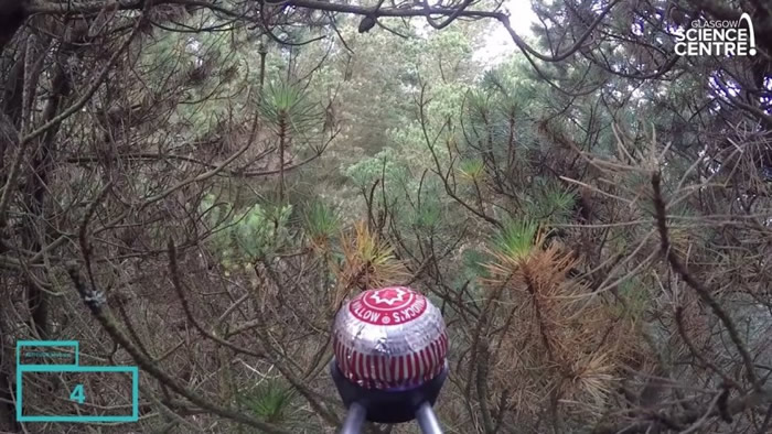 ̩�������ڼ���Τɭ�ֹ�԰��