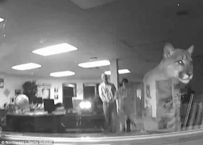 ������ʢ��������ʨ���������û��ɷУ��