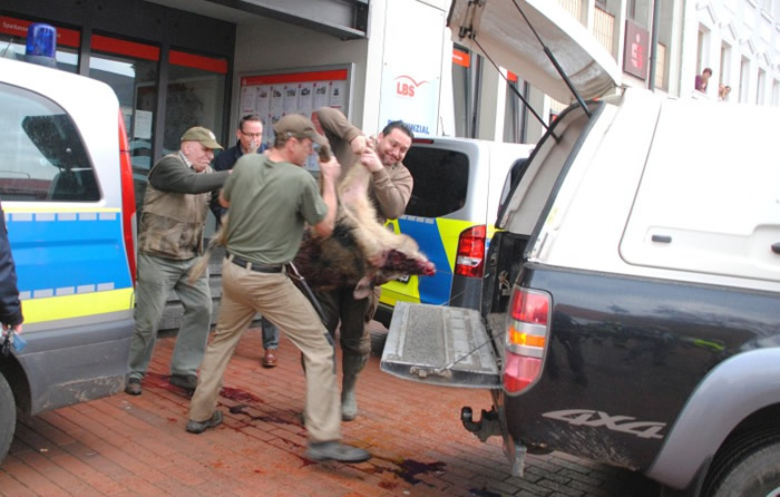 ���˺���̧��Ұ��ʬ�塣