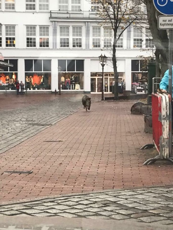 Ұ���ڽ�ͷ���ߡ�