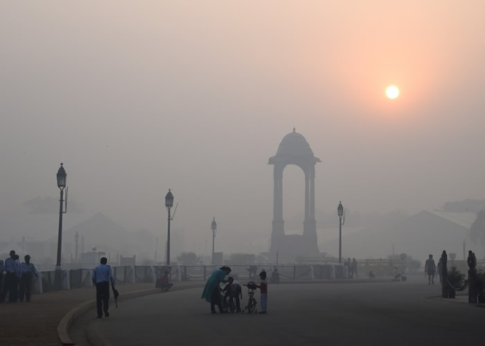 ����ָ��������ȾΪ���ɱ�֡�