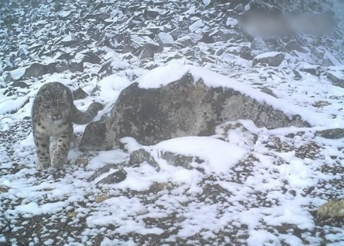 ѩ���С�ѩɽ֮����������