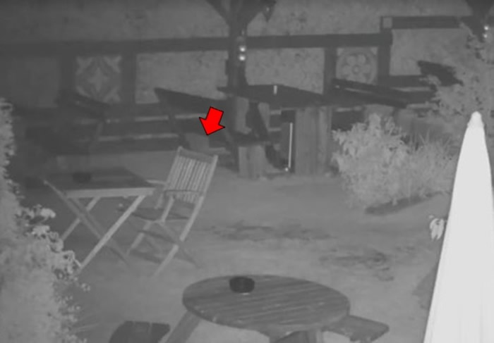 �����¼���Ӣ�����ز����ֹ��ưɼҾ������ƶ�