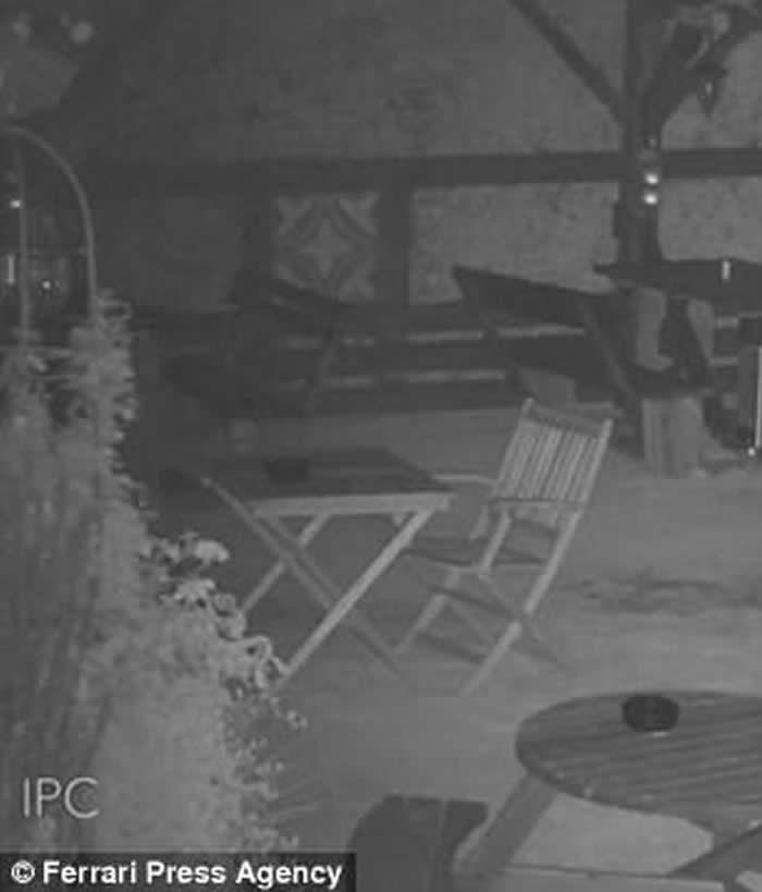 �����¼���Ӣ�����ز����ֹ��ưɼҾ������ƶ�