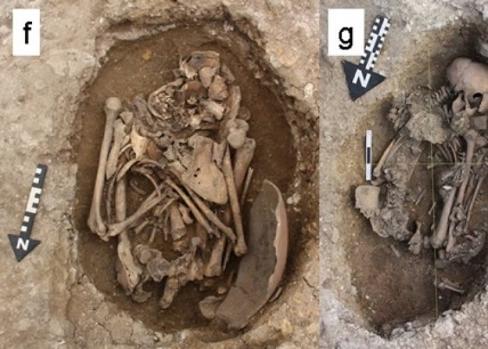 考古学家发现部分死者的头骨曾遭人重击,怀疑他们是宗教献祭的活人祭品。