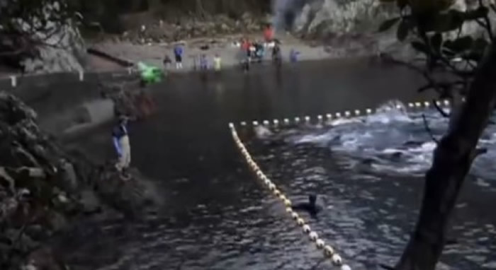 2009年的纪录片《血色海湾》,揭露太地町渔民每年屠杀约2.3万只海豚的事实。