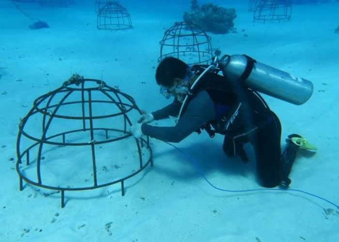 科学家指水下作业工作量大,而且成本高。