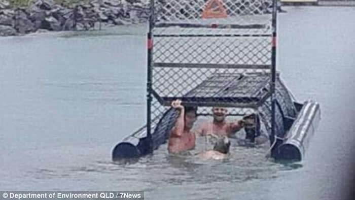 澳洲昆士兰省数名男子钻进放了鳄鱼诱饵的漂浮陷阱笼内嬉戏 官员轰“世纪白痴”