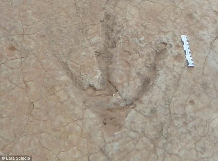 非洲莱索托发现的足迹化石属于一种大型食肉恐龙新物种Kayentapus ambrokholohali