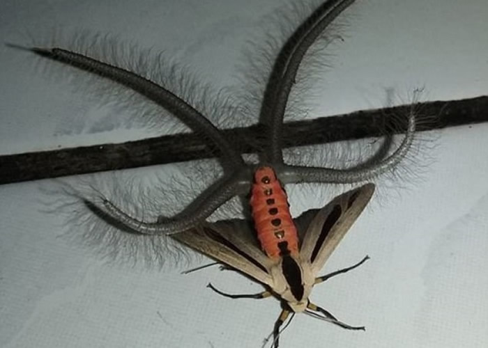 �����ҵƶ���ɷһ������