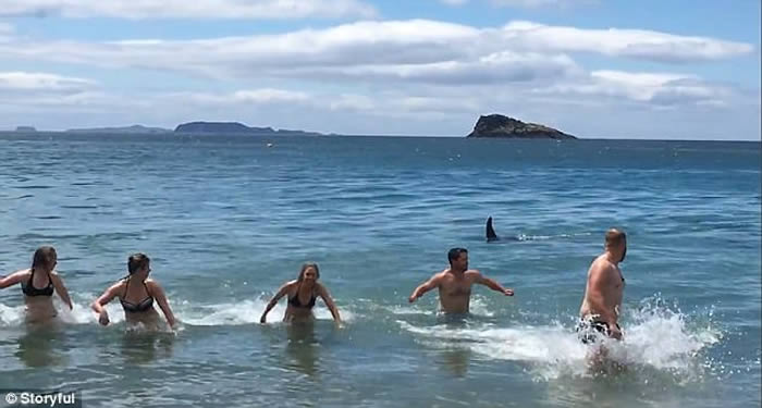 ��ɱ�˾������� ������Ӿ�ͼ��Ӱ���