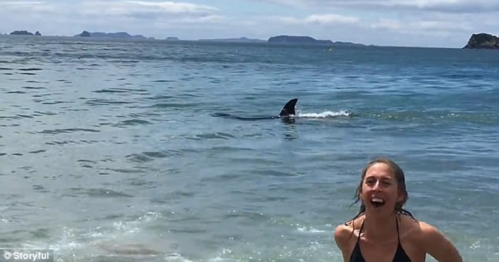 ��ɱ�˾������� ������Ӿ�ͼ��Ӱ���