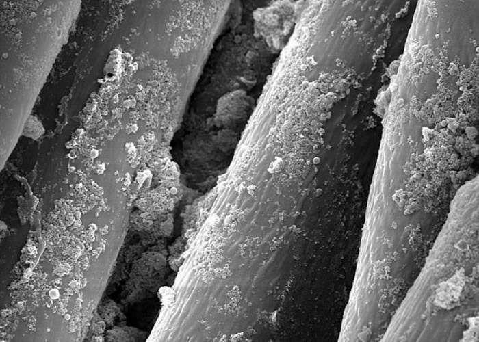 显微镜下可见,纳米胶囊依附在服装纤维上。