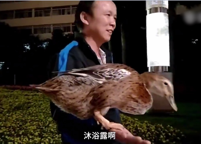 ����һֱ������������ߡ���