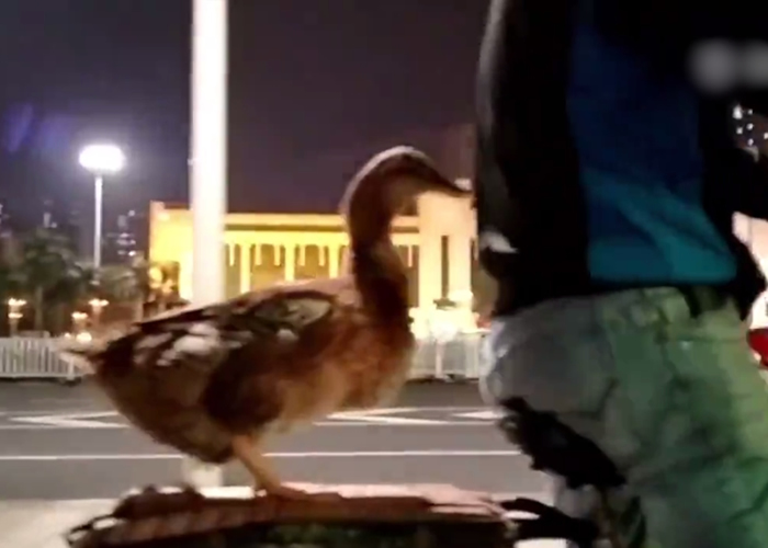 ������ɵ�վ�����еĵ綯���ϡ�