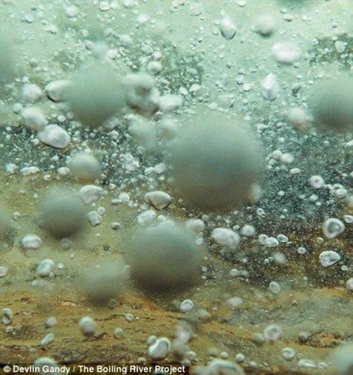 ��������³����ѷɭ���ڴ�˵�д��ڵĺӵ�ˮ�¾�Ȼ�ߴ�����100��