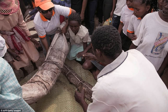 干裺˹ӱ߿뵱عϰFamadihanaй