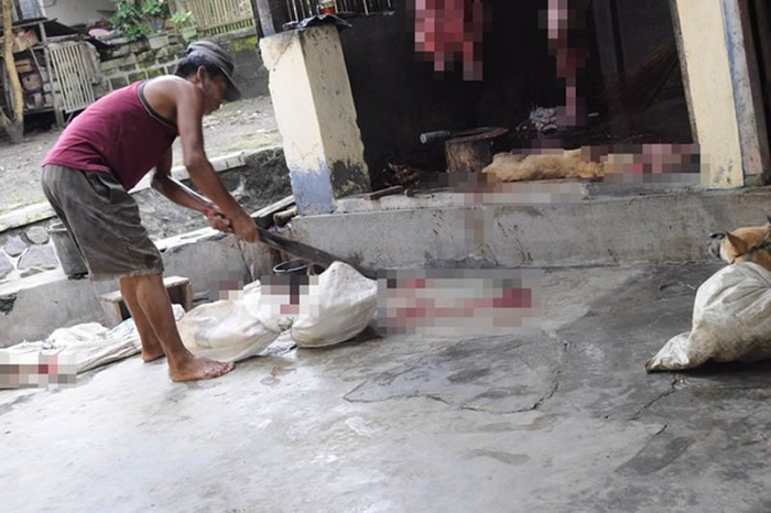 ӡǷ׳ع ȫƿͬ鱻ͷ