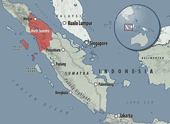 印尼苏门答腊岛北部发现新品种红毛猩猩:塔巴努里猩猩