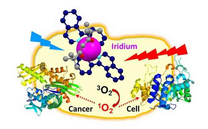 铱通过产生的单线态氧来攻击癌细胞