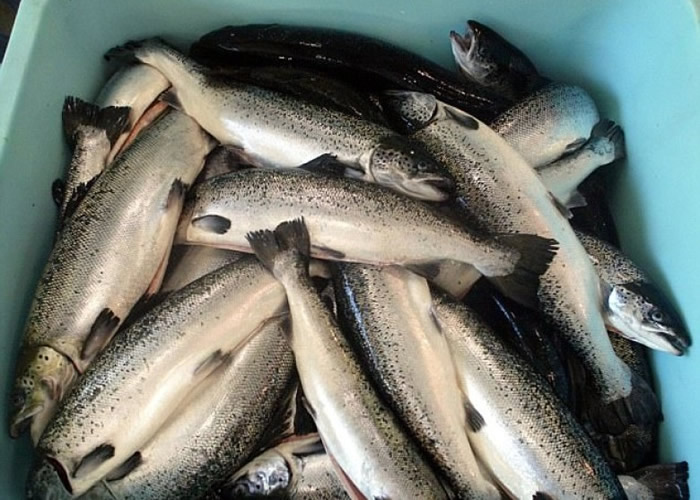 �����ո����������������ĺ�ʭ��Ŀ������ȫ��׼��