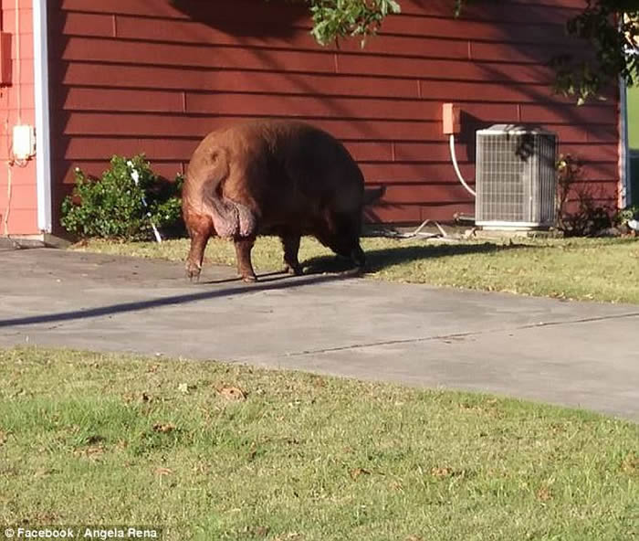 �������������ݷ�˳Ǿ����ڽֵ����Ĵ�����