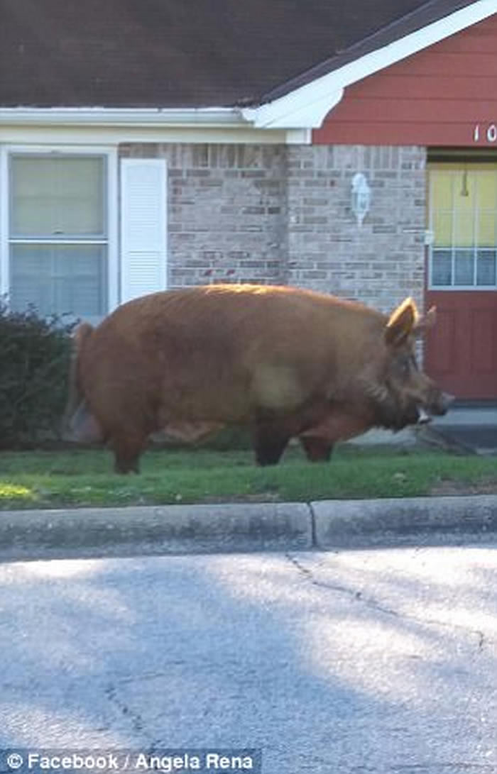 �������������ݷ�˳Ǿ����ڽֵ����Ĵ�����