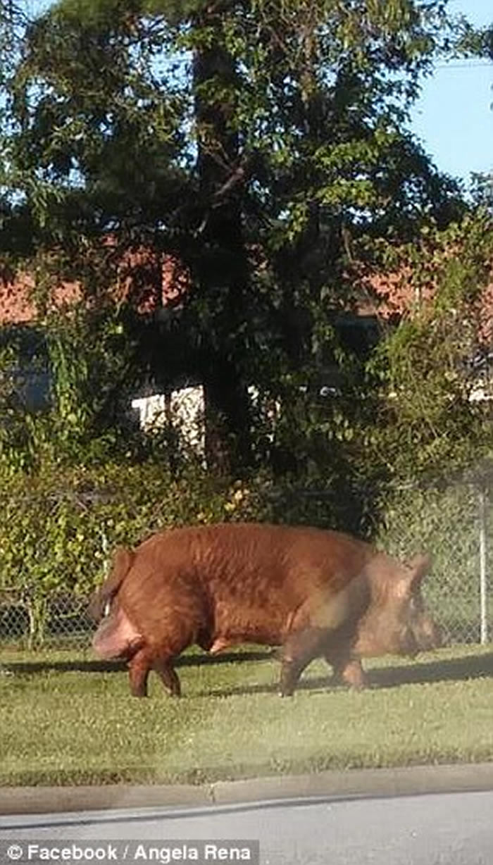 �������������ݷ�˳Ǿ����ڽֵ����Ĵ�����