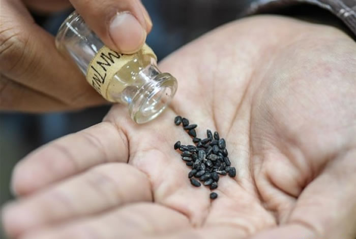 福建省三明市南山遗址首次发现会“种田”的穴居人