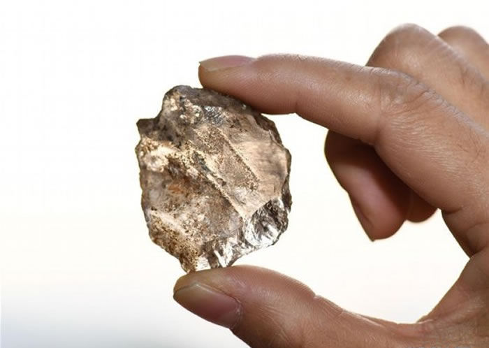 福建省三明市南山遗址首次发现会“种田”的穴居人