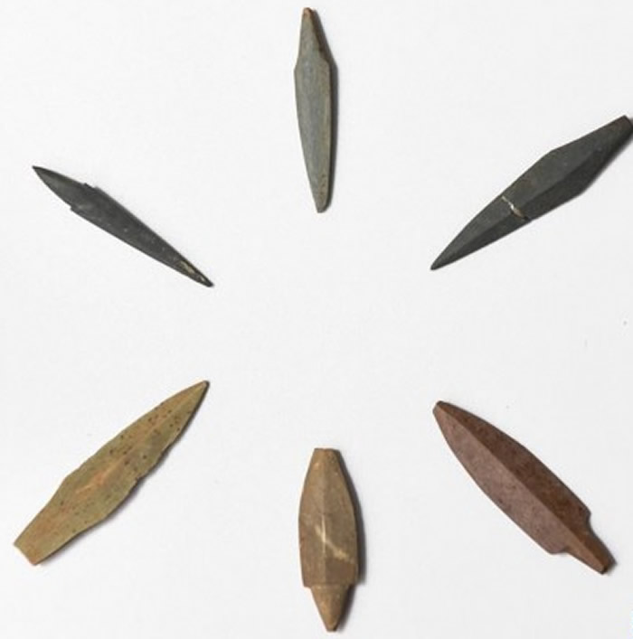 福建省三明市南山遗址首次发现会“种田”的穴居人