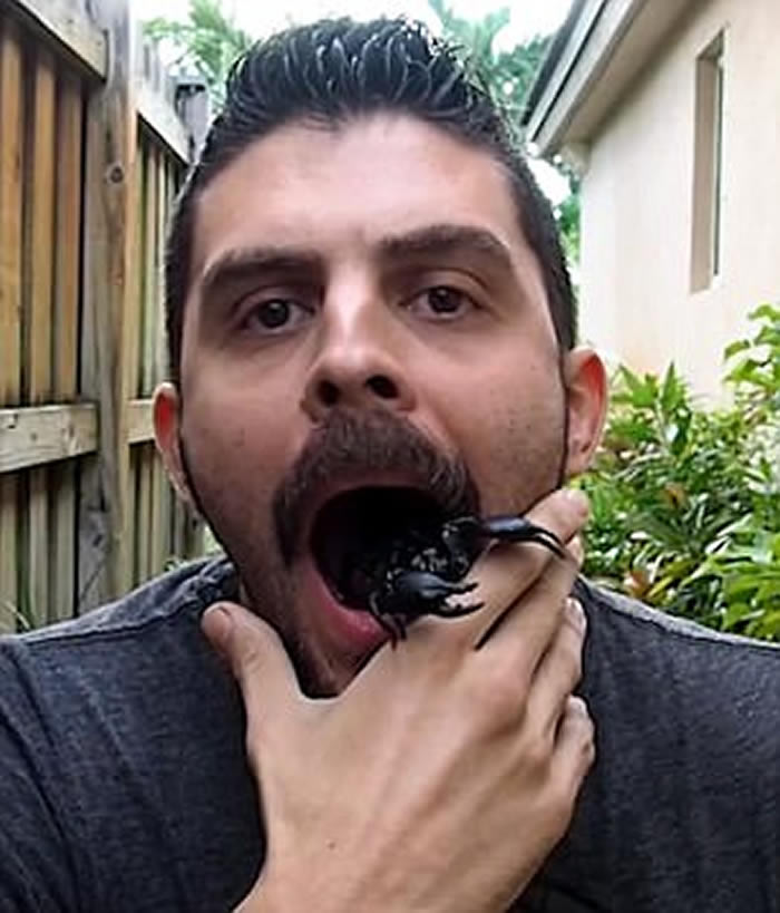 ������������������ſڡ��³�������Ы���Ż���