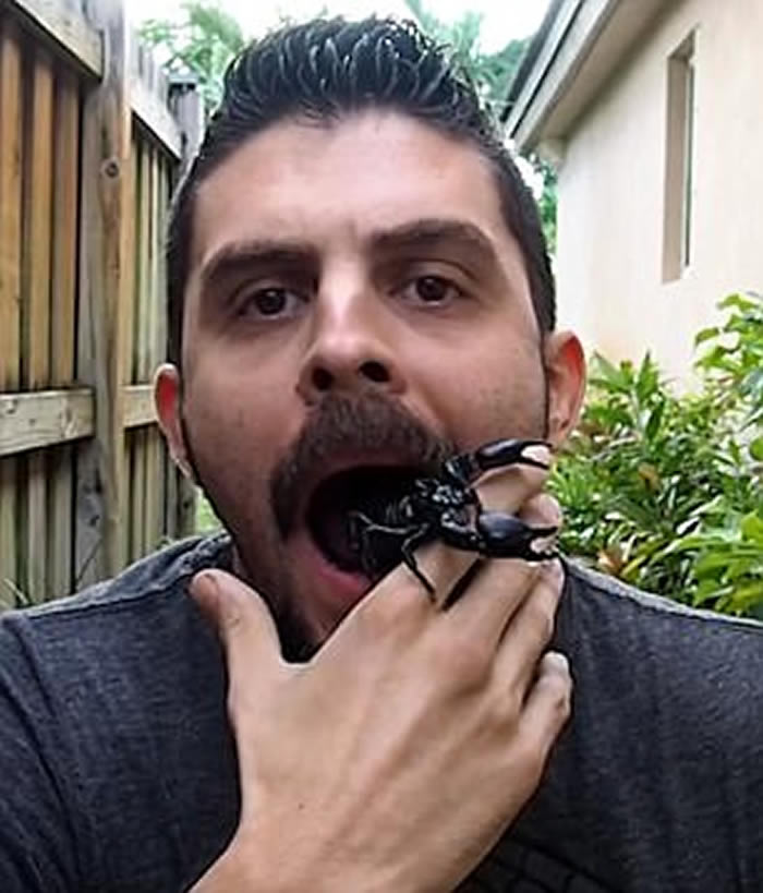 ������������������ſڡ��³�������Ы���Ż���