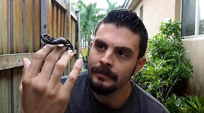 ������������������ſڡ��³�������Ы���Ż���