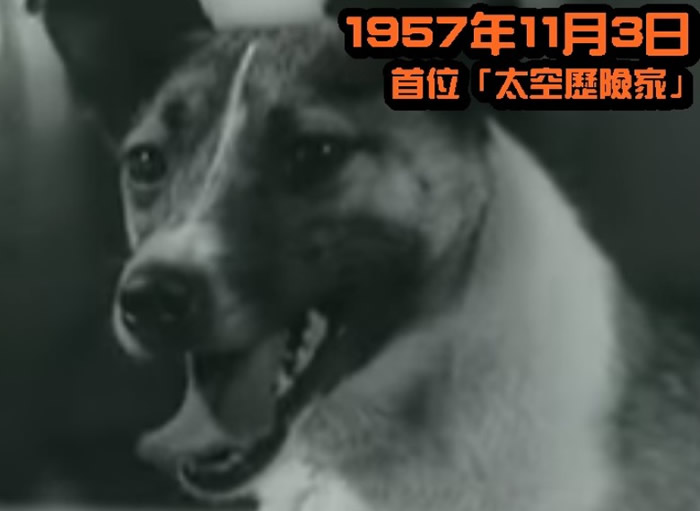 ��������˴��̫�ղճɹ���������������ʷ��