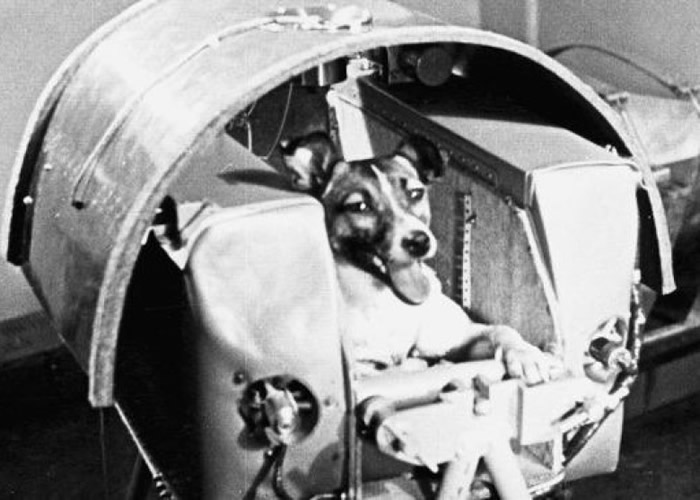 ��������Ϊ����̫�տƼ�ʷ�鴴��һҳ��