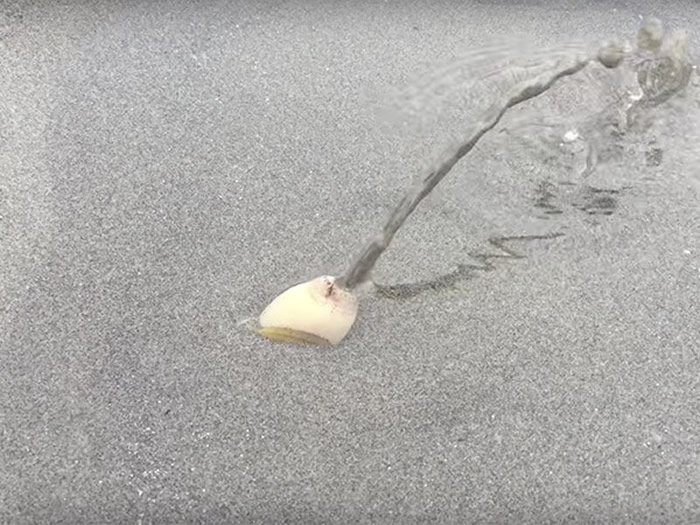 ��Ȥ���ࡰ���������ɡ�