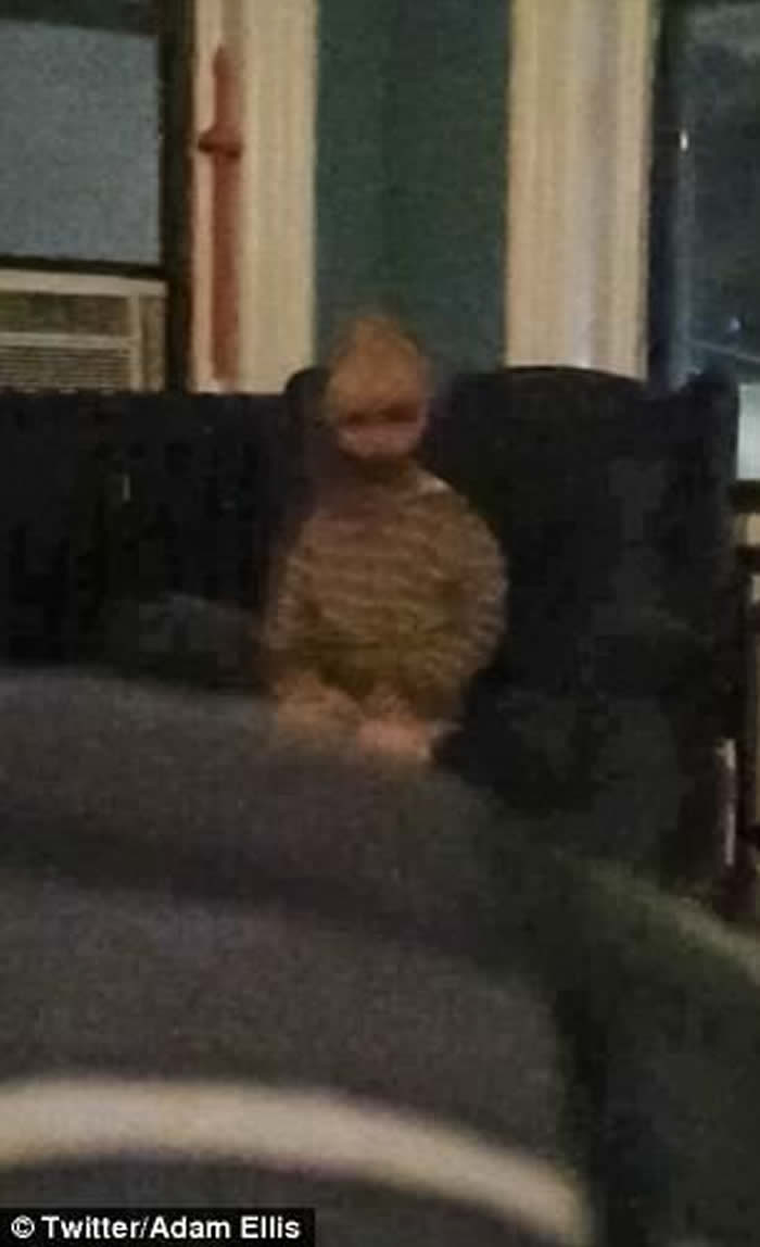 ƱŦԼAdam Ellisϴײ