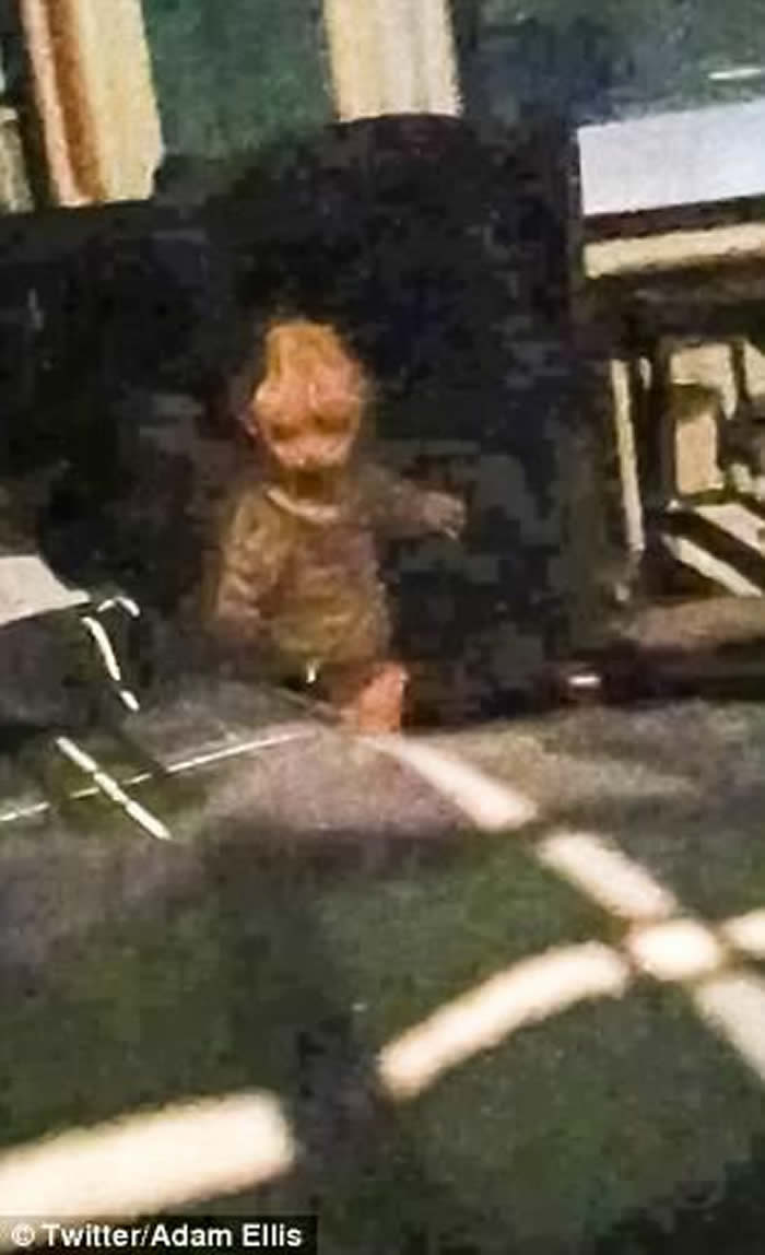 ƱŦԼAdam Ellisϴײ